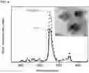 Fig. 04 - Scintillator nanocrystal-containing compositions and methods for their use