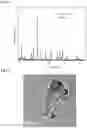 Fig. 07 - Scintillator nanocrystal-containing compositions and methods for their use