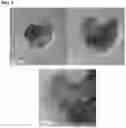 Fig. 08 - Scintillator nanocrystal-containing compositions and methods for their use