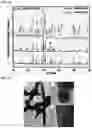 Fig. 11 - Scintillator nanocrystal-containing compositions and methods for their use