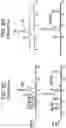 Fig. 11 - CONJUGATED COMPOUNDS COMPRISING CYSTEINE-ENGINEERED ANTIBODIES