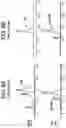 Fig. 16 - CONJUGATED COMPOUNDS COMPRISING CYSTEINE-ENGINEERED ANTIBODIES