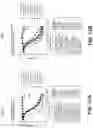 Fig. 22 - CONJUGATED COMPOUNDS COMPRISING CYSTEINE-ENGINEERED ANTIBODIES