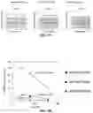 Fig. 19 - Location-based mode(s) for biasing provisioning of content when an automated assistant is responding to condensed natural language inputs