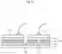 Fig. 18 - Electrochromic device