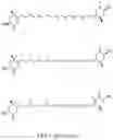 Fig. 02 - Recombinant polynucleotide sequence for producing astaxanthin and uses thereof