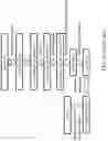 Fig. 03 - Recombinant polynucleotide sequence for producing astaxanthin and uses thereof