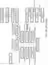 Fig. 04 - Recombinant polynucleotide sequence for producing astaxanthin and uses thereof