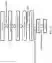 Fig. 05 - Recombinant polynucleotide sequence for producing astaxanthin and uses thereof