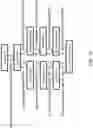 Fig. 06 - Recombinant polynucleotide sequence for producing astaxanthin and uses thereof