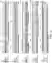 Fig. 07 - Recombinant polynucleotide sequence for producing astaxanthin and uses thereof