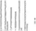 Fig. 08 - Recombinant polynucleotide sequence for producing astaxanthin and uses thereof