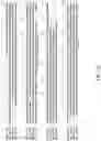 Fig. 09 - Recombinant polynucleotide sequence for producing astaxanthin and uses thereof