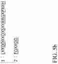 Fig. 10 - Recombinant polynucleotide sequence for producing astaxanthin and uses thereof
