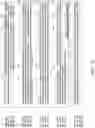 Fig. 12 - Recombinant polynucleotide sequence for producing astaxanthin and uses thereof
