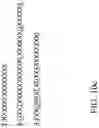 Fig. 21 - Recombinant polynucleotide sequence for producing astaxanthin and uses thereof