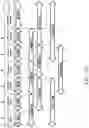 Fig. 28 - Recombinant polynucleotide sequence for producing astaxanthin and uses thereof