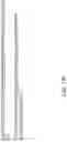 Fig. 33 - Recombinant polynucleotide sequence for producing astaxanthin and uses thereof