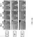 Fig. 44 - Recombinant polynucleotide sequence for producing astaxanthin and uses thereof