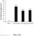Fig. 51 - Recombinant polynucleotide sequence for producing astaxanthin and uses thereof