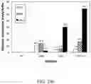 Fig. 55 - Recombinant polynucleotide sequence for producing astaxanthin and uses thereof