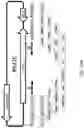 Fig. 56 - Recombinant polynucleotide sequence for producing astaxanthin and uses thereof