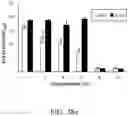 Fig. 67 - Recombinant polynucleotide sequence for producing astaxanthin and uses thereof