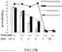 Fig. 70 - Recombinant polynucleotide sequence for producing astaxanthin and uses thereof