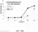 Fig. 72 - Recombinant polynucleotide sequence for producing astaxanthin and uses thereof