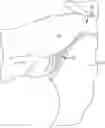 Fig. 01 - Pressure activated release cue for archery