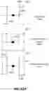 Fig. 44 - Structural design systems and methods to define areas of interest for modeling and simulation-based space planning