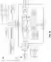 Fig. 74 - Structural design systems and methods to define areas of interest for modeling and simulation-based space planning