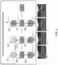 Fig. 03 - Future semantic segmentation prediction using 3D structure