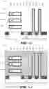 Fig. 06 - Hybrid nanostructure and fin structure device