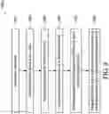 Fig. 09 - Semiconductor structure and manufacturing method of the same