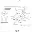 Fig. 02 - Access to Wi-Fi networks via two-step and two-party control