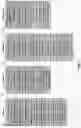 Fig. 02 - Real-Time Any-G SON