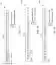 Fig. 10 - Method and apparatus for S-SSB transmission
