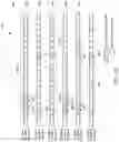 Fig. 14 - Method and apparatus for S-SSB transmission