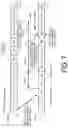 Fig. 08 - Terminal apparatus
