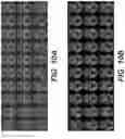 Fig. 15 - System, method and computer-accessible medium for facilitating noise removal in magnetic resonance imaging