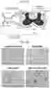 Fig. 02 - COMPOSITIONS FOR DRG-SPECIFIC REDUCTION OF TRANSGENE EXPRESSION