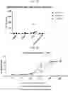 Fig. 14 - COMPOSITIONS FOR DRG-SPECIFIC REDUCTION OF TRANSGENE EXPRESSION