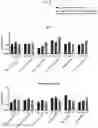 Fig. 16 - COMPOSITIONS FOR DRG-SPECIFIC REDUCTION OF TRANSGENE EXPRESSION