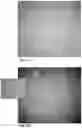 Fig. 16 - COMPOSITIONS, METHODS AND USES FOR THERMALLY STABLE HUMAN PAPILLOMAVIRUS FORMULATIONS