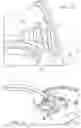Fig. 09 - Rotatable handle for a dumbbell bar