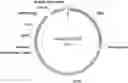 Fig. 01 - IN-VIVO RELEASE SUSTAINED RECOMBINANT COAGULATION FACTOR VIII AND PREPARATION METHOD THEREFOR