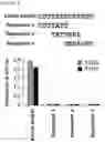 Fig. 08 - CADM1 V9-recognizing antibody