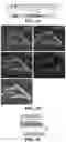 Fig. 06 - CAS12A SYSTEMS, METHODS, AND COMPOSITIONS FOR TARGETED RNA BASE EDITING