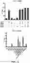 Fig. 28 - CAS12A SYSTEMS, METHODS, AND COMPOSITIONS FOR TARGETED RNA BASE EDITING